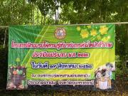 53595339911601178994761112874842129638384921n