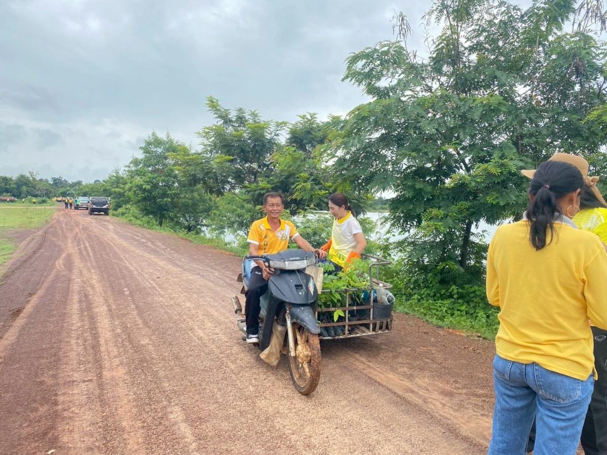 5362710031161954889292412646845250683644647n