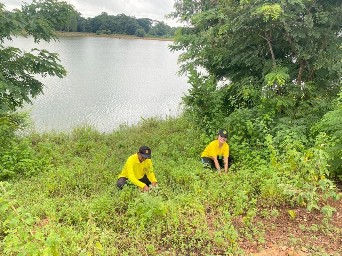 53627501811619558259589858558802190550376905n