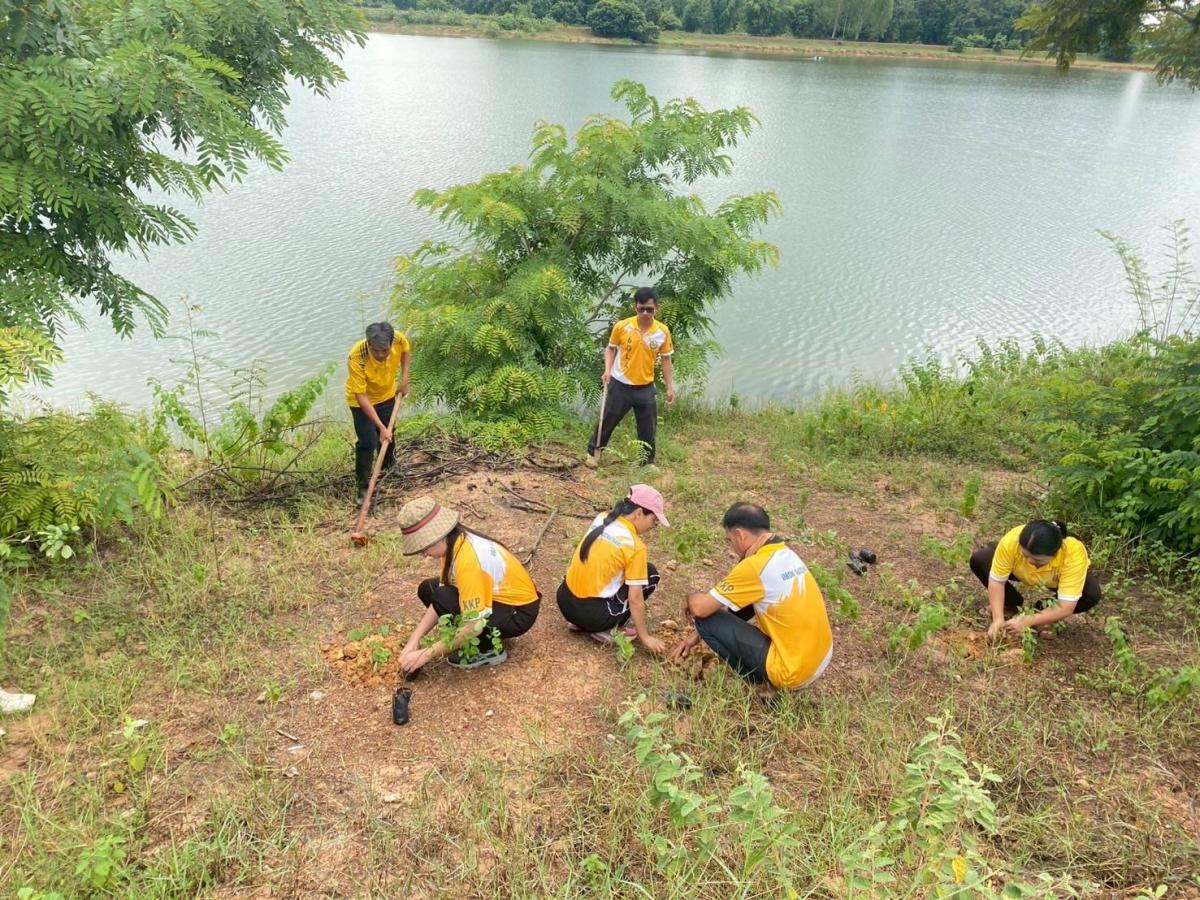 53627761011619548959590787729253180573120247n