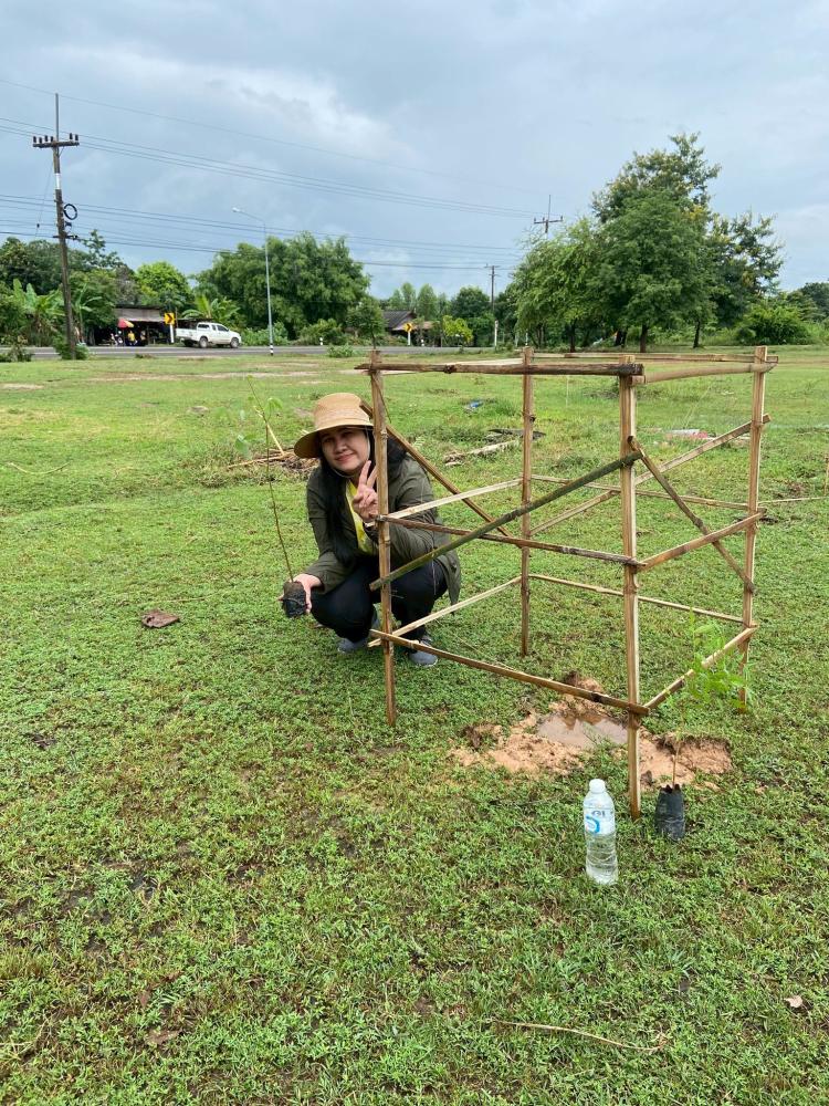 53628046411619565459589138907973925626816005n