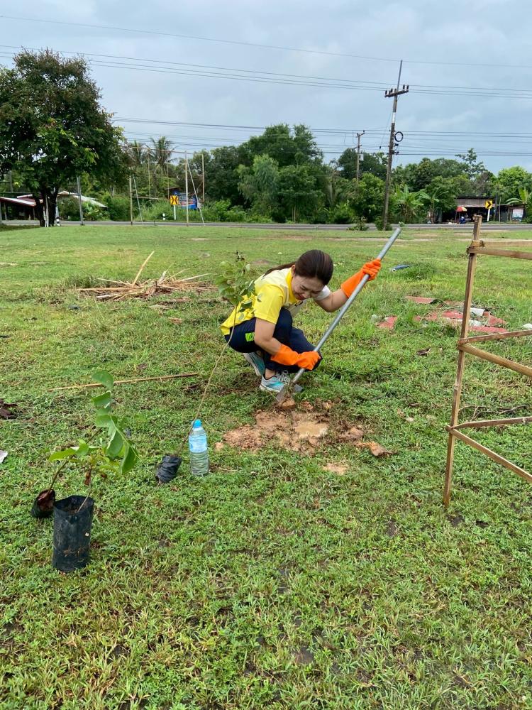 53658915811619549426257404498896259437531327n