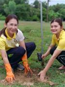 53627505011619569326255414634406168453896905n