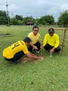 53628185311619553292923682596966150870263291n