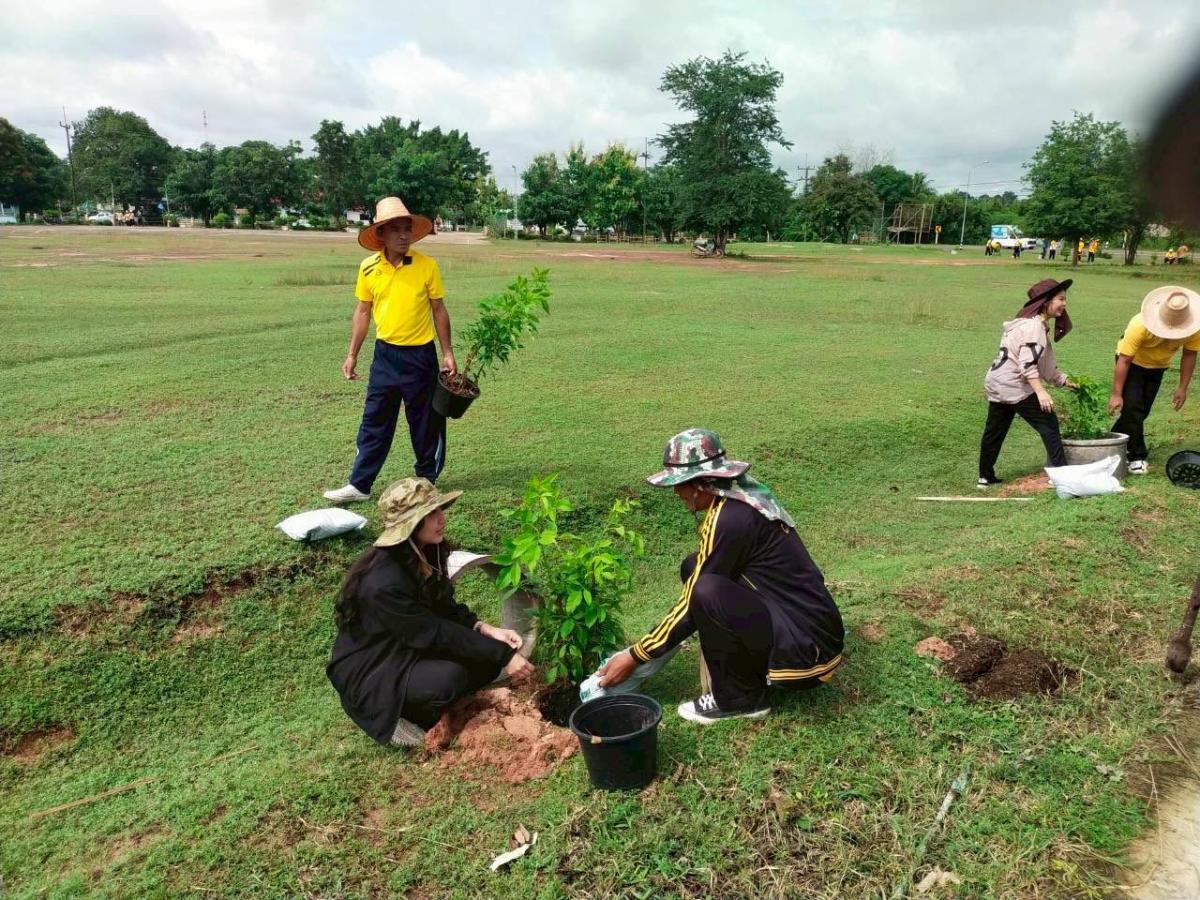 53903382211652496589629356814777420189554085n