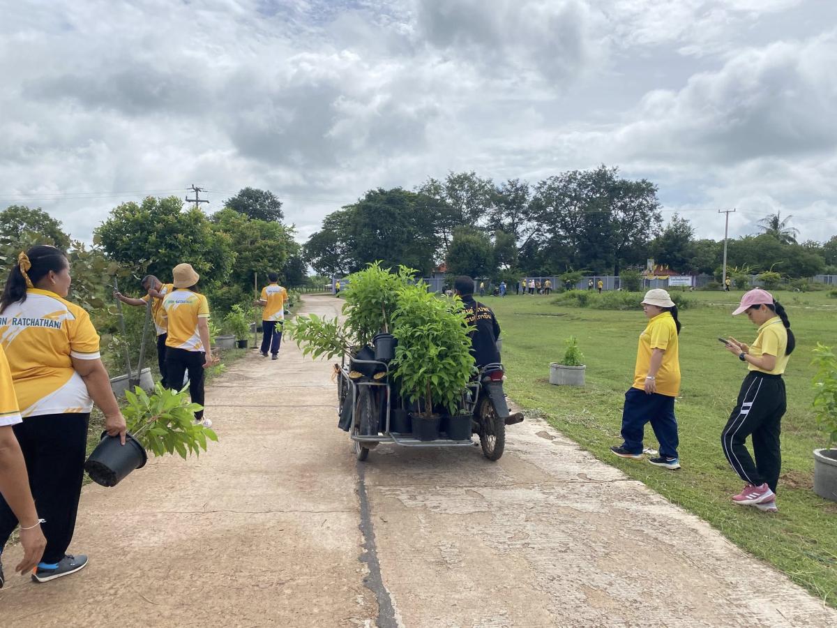 53932038911652495489629467909596915542074451n