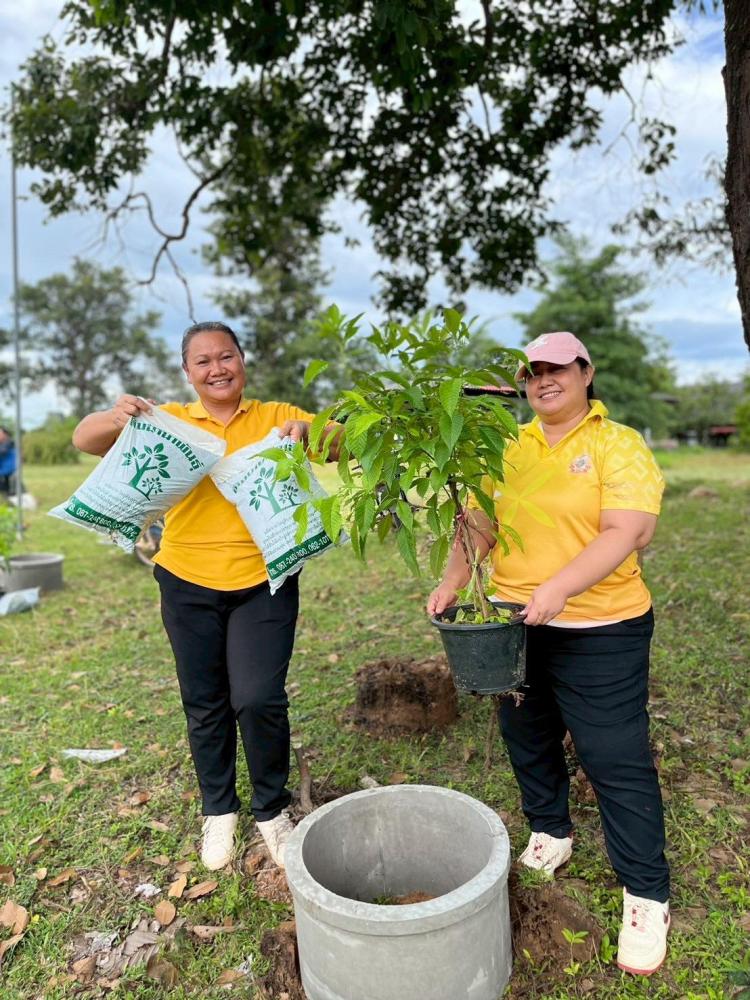 54133577311694150552130625358019053765274768n