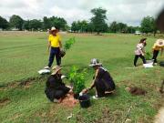 53903382211652496589629356814777420189554085n