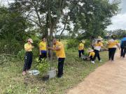 53959272811652492089629804522455651982576005n