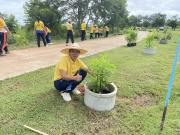 53980369411652487522963593874829530529821885n