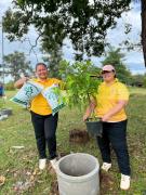 54133577311694150552130625358019053765274768n