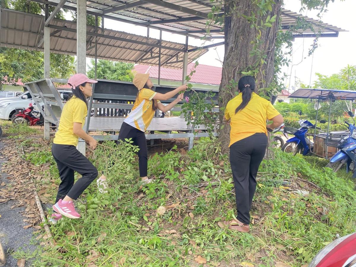 55178293011877544033791277643206253621595785n